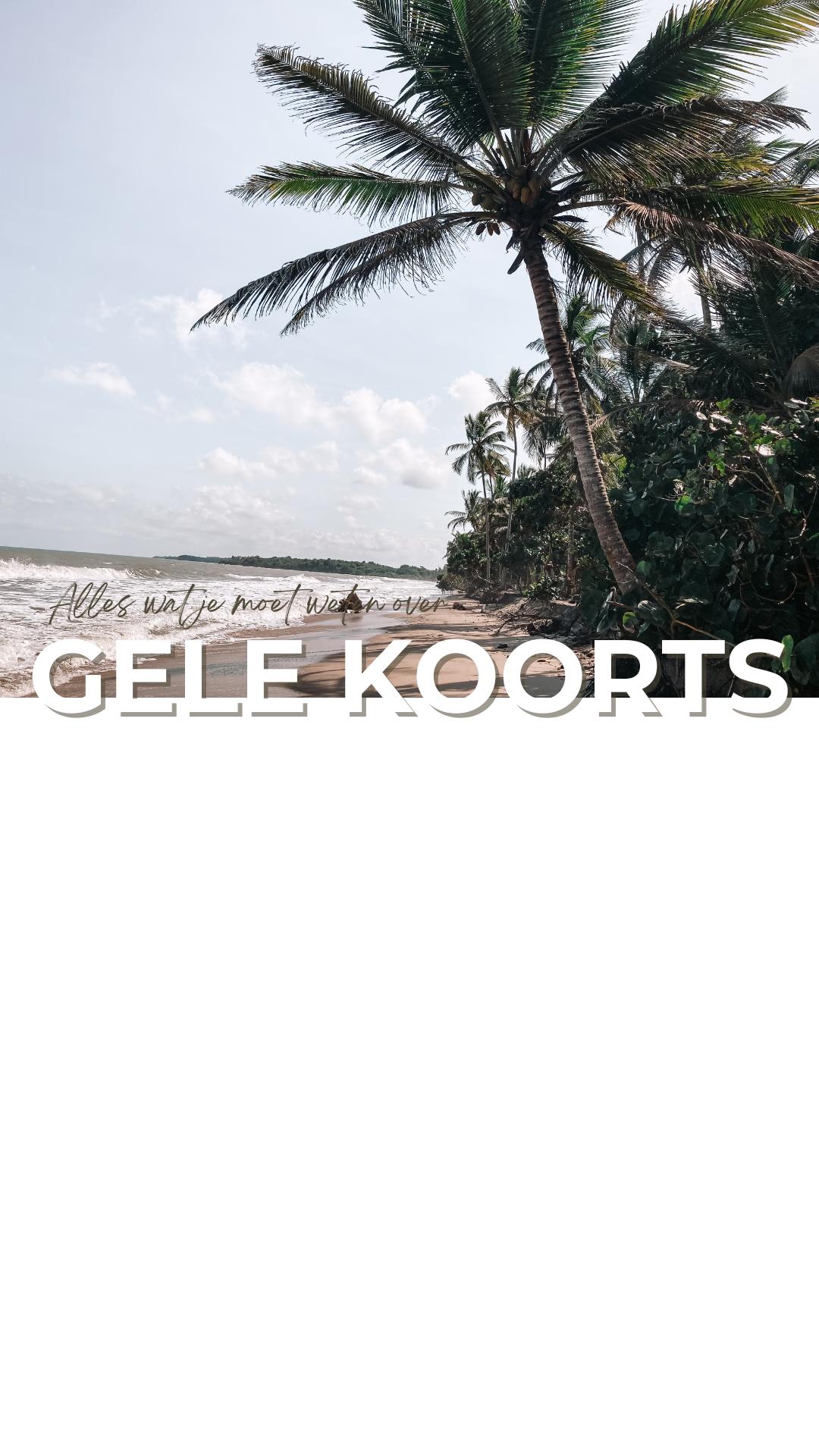 Gele koorts