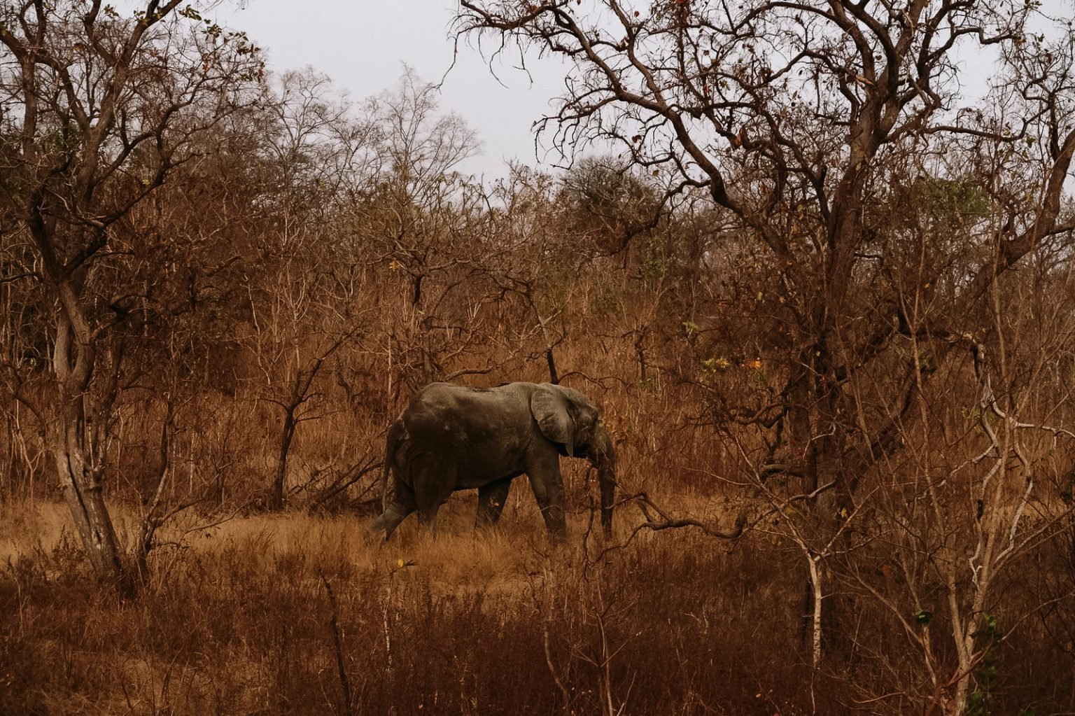 e67250b0-1c9e-4858-8788-ef4cf2f7f032