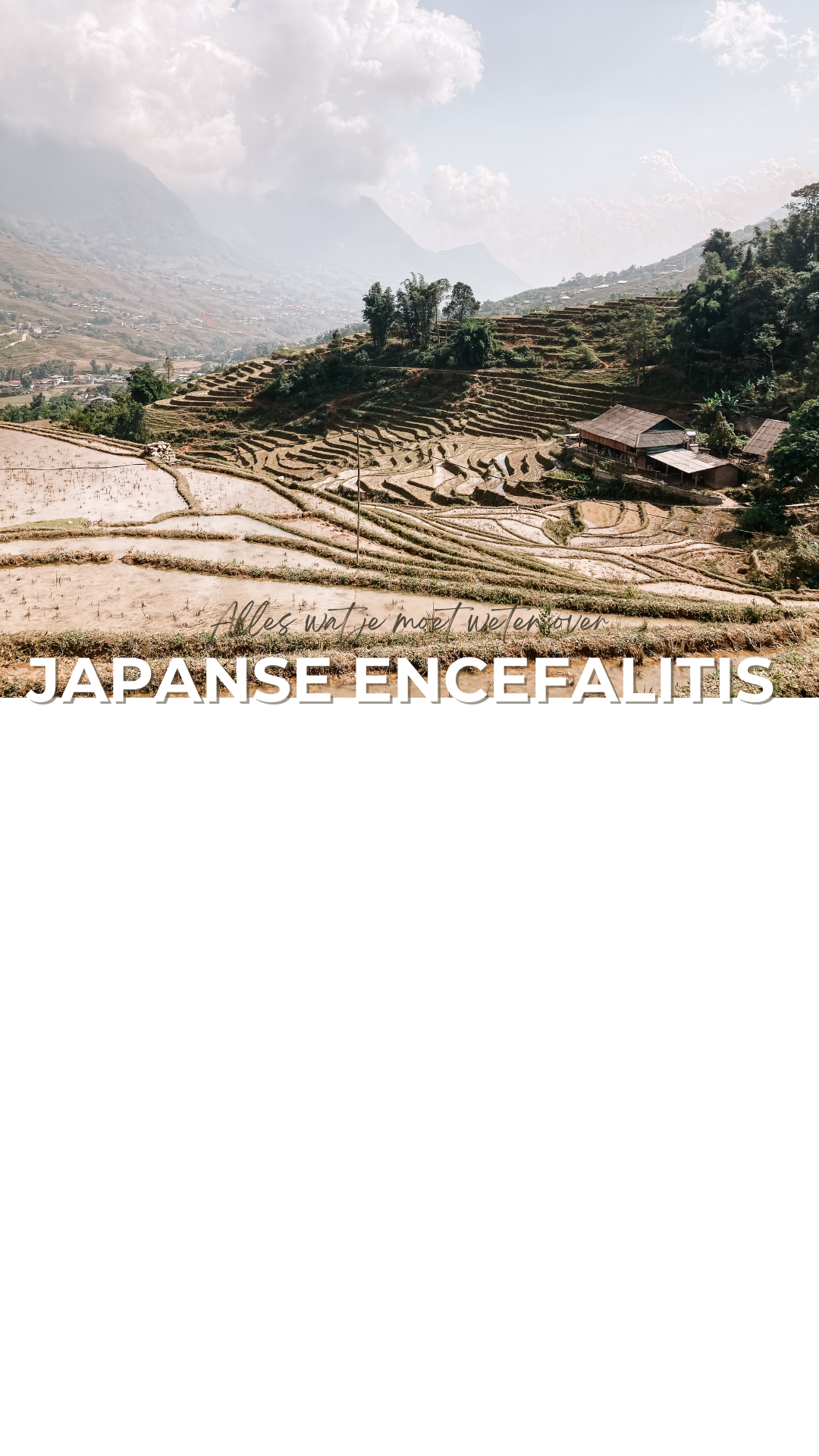 Japanse encefalitis