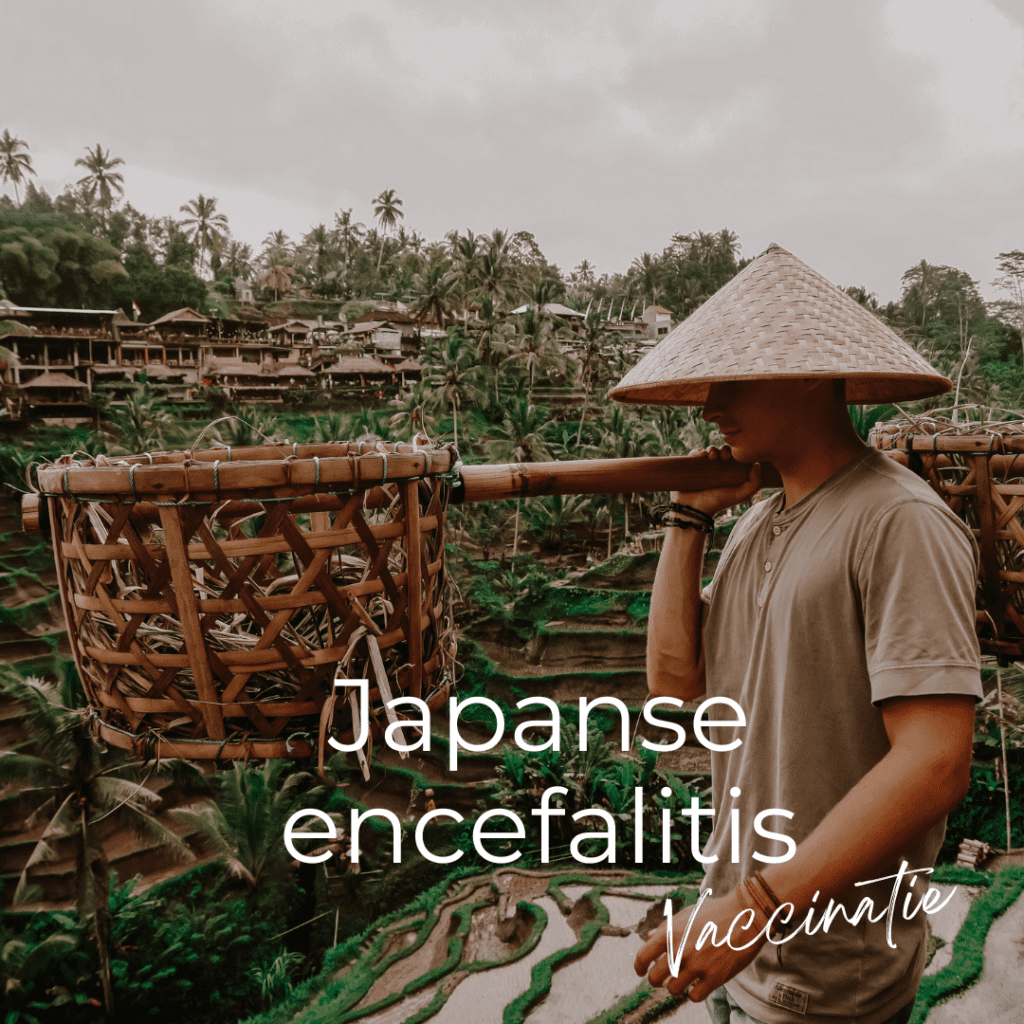 Japanse encefalitis