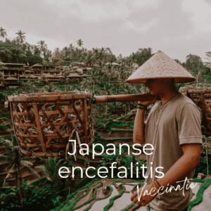 Japanse encefalitis