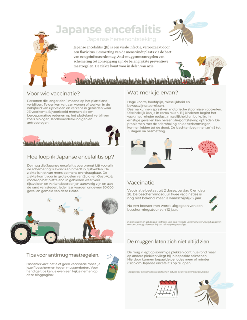 Schema Japanse encefalitis