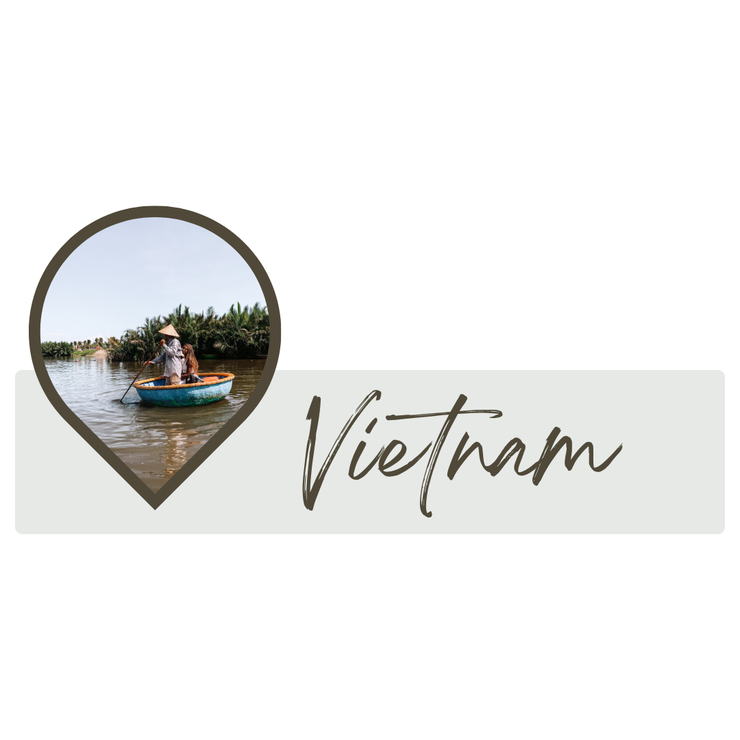 Vietnam pin