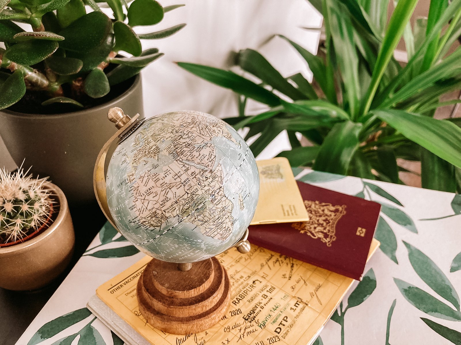 Wereldbol en reisvaccinaties