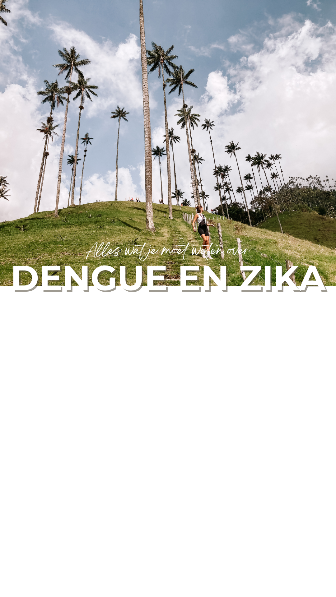 Dengue en zika