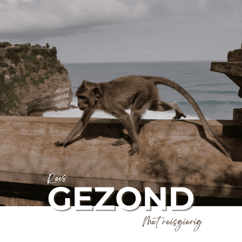 Gezondheid en reizen