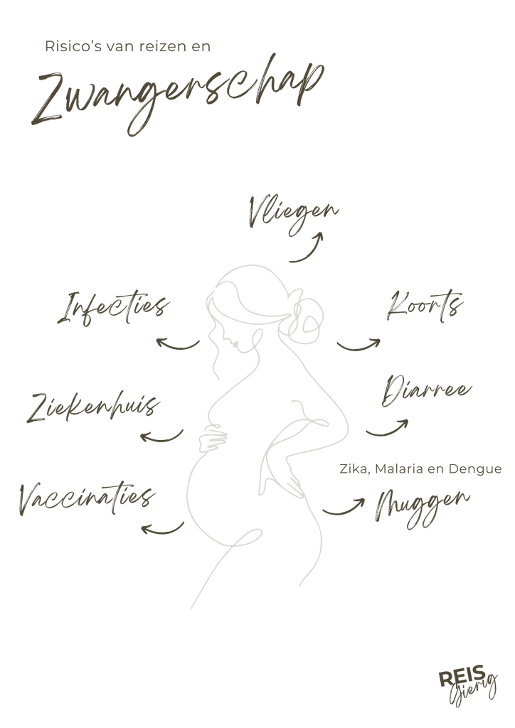 Zwangerschap en reizen overzicht