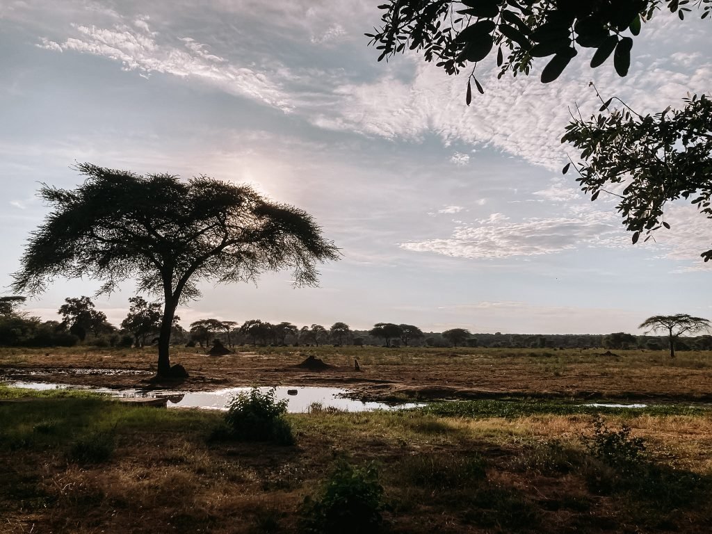 Natuur in Botswana