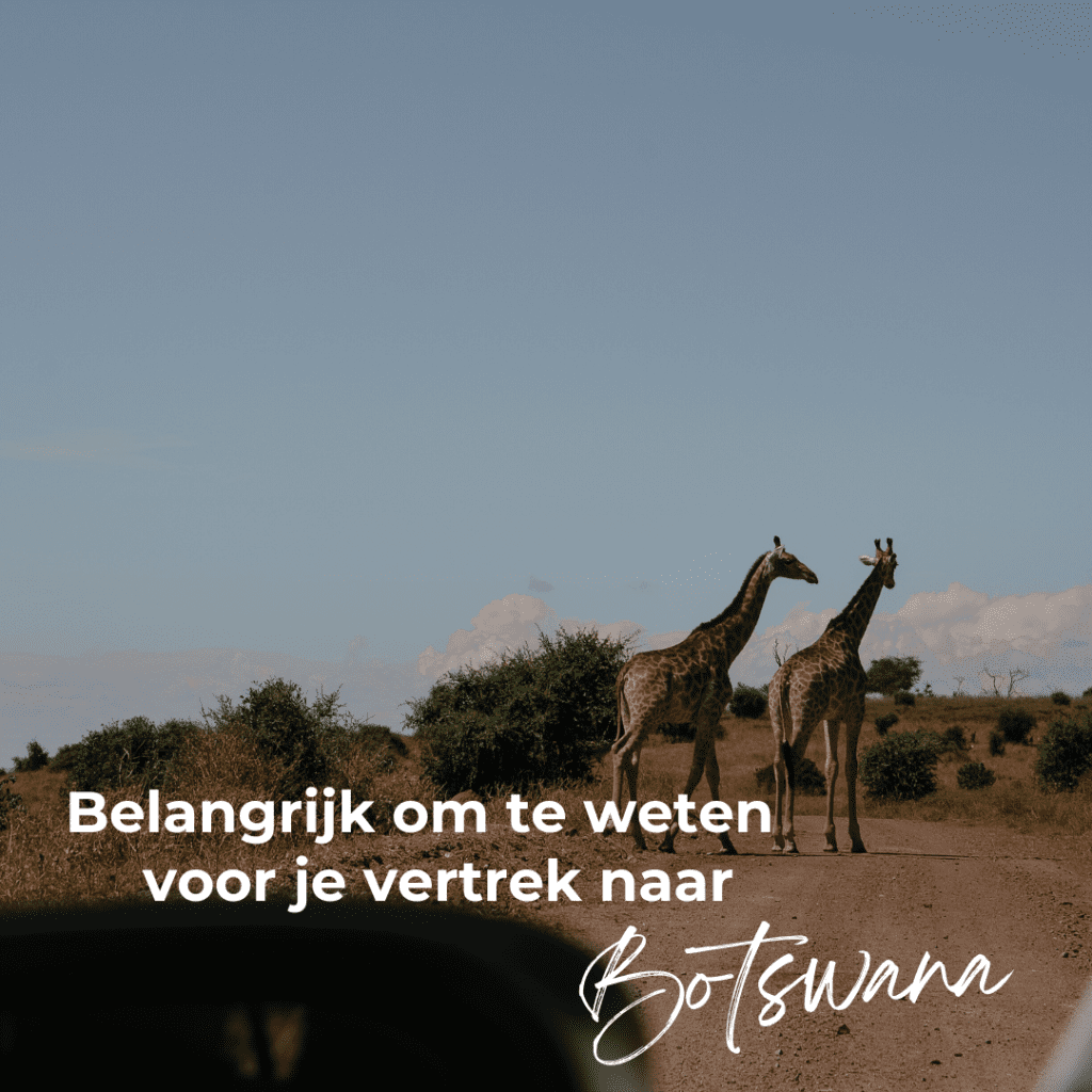 belangrijk om te weten Botswana