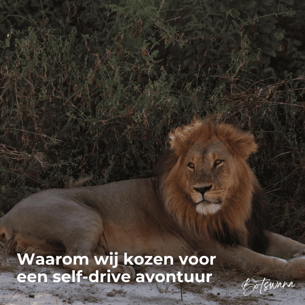 waarom selfdrive Botswana