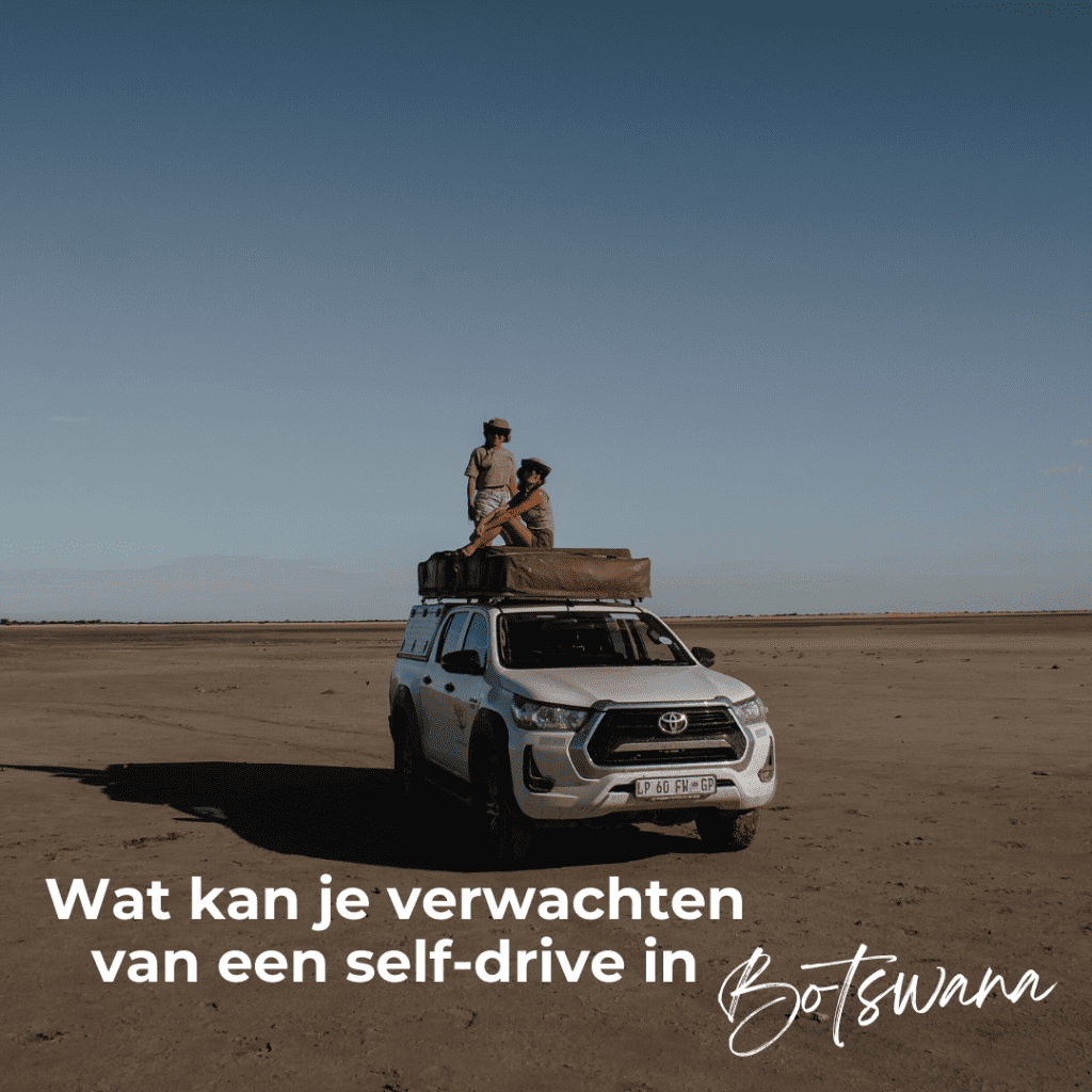 wat kan je verwachten Botswana selfdrive