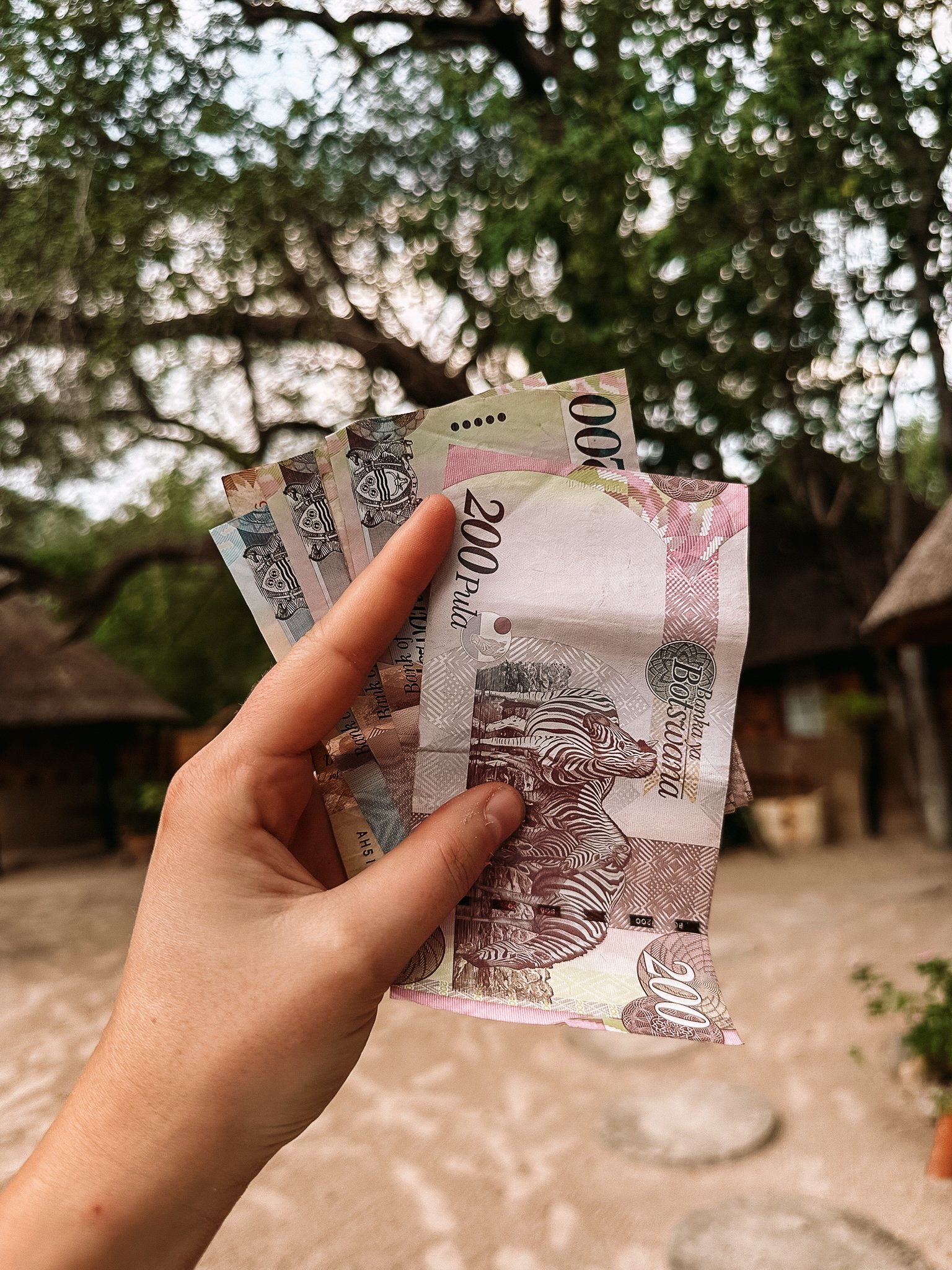 Botswana geld - Botswaanse Pula