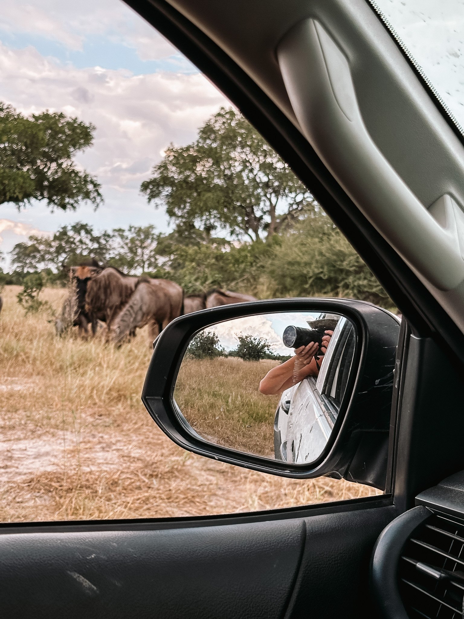 Selfdrive Safari Botswana - Gnoe
