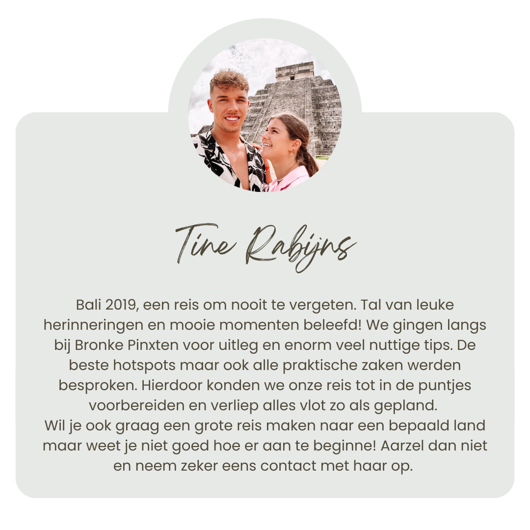 review Tine goede versie